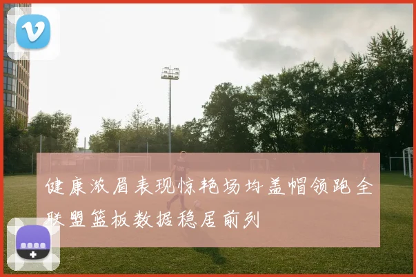 健康浓眉表现惊艳场均盖帽领跑全联盟篮板数据稳居前列