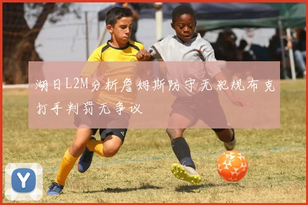 湖日L2M分析詹姆斯防守无犯规布克打手判罚无争议